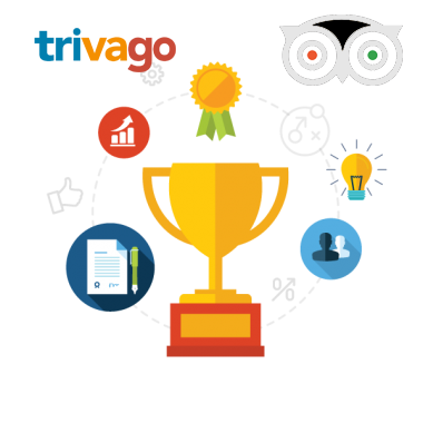 Reputation Management Services Reputation Managment Services